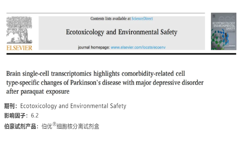 項(xiàng)目文章 | 腦單細(xì)胞轉(zhuǎn)錄組學(xué)結(jié)果揭示了：百草枯對(duì)帕金森病伴重度抑郁癥的共病相關(guān)細(xì)胞類型特異性變化的影響