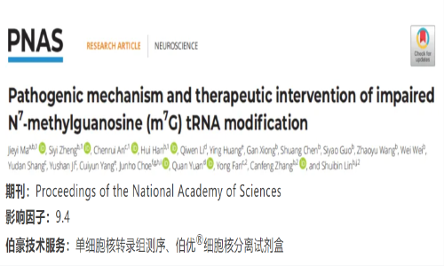 項(xiàng)目文章 | 單細(xì)胞核轉(zhuǎn)錄組測(cè)序揭示 N7- 甲基鳥苷酸（m7G）tRNA 修飾減弱的致病機(jī)理