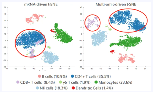 國(guó)自然上分秘籍 | 單細(xì)胞轉(zhuǎn)錄組聯(lián)合膜蛋白打出免疫研究“組合拳”