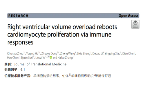 項(xiàng)目文章 | 單細(xì)胞轉(zhuǎn)錄組測序揭示右心室容量超荷會通過免疫反應(yīng)重啟心肌細(xì)胞的增殖