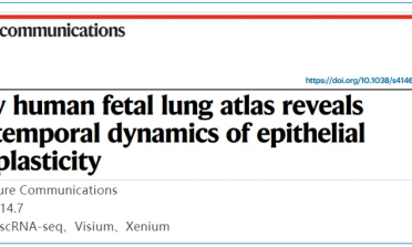 單細(xì)胞空間原位檢測技術(shù) | 早期人類胎兒肺圖譜揭示上皮細(xì)胞可塑性的時(shí)間動(dòng)態(tài)變化