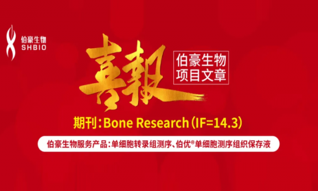 項(xiàng)目文章 | 單細(xì)胞轉(zhuǎn)錄組學(xué)揭示 CCN2 在膝關(guān)節(jié)纖維化中如何調(diào)控成纖維細(xì)胞與巨噬細(xì)胞的相互作用