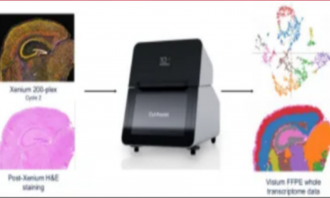 突破極限！單張樣本完成 Xenium+Visium HD 全流程實(shí)驗(yàn)及分析！