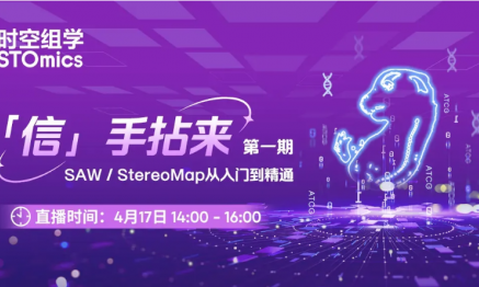 「信」手拈來第一期，SAW/StereoMap 從入門到精通