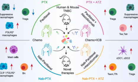 2025 頂刊文獻速遞 | 單細胞轉錄組系列（3 月）