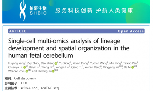 華大 DNBelab C 系列 | 單細胞多組學解析人胎兒小腦神經細胞發(fā)育和空間結構