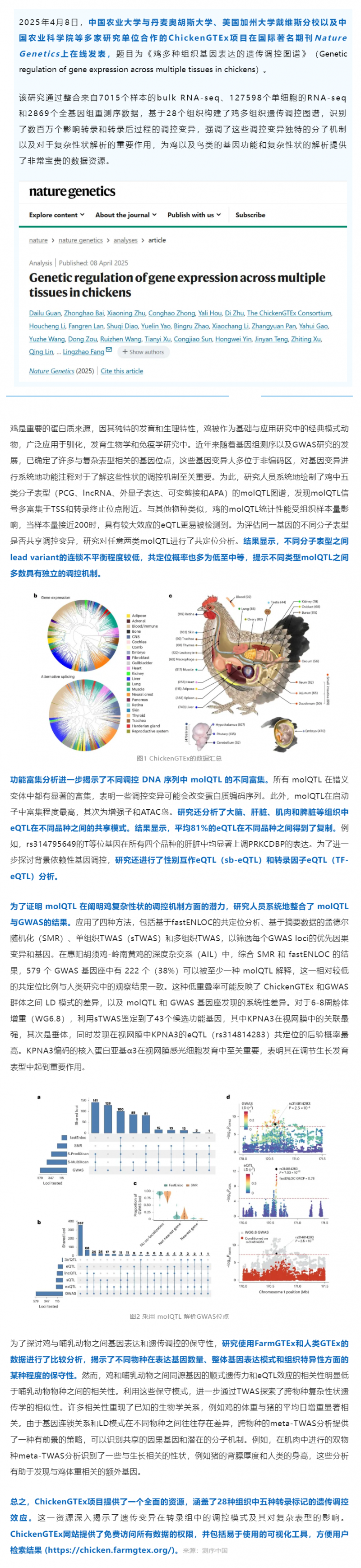 Nat Genet 丨中國農業(yè)大學等多國團隊繪制雞多組織遺傳調控圖譜