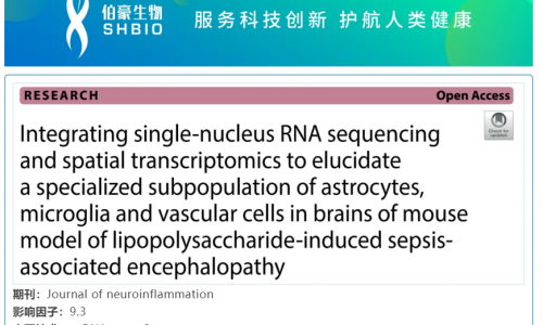 華大 DNBelab C 系列 | 單核 RNA 測(cè)序聯(lián)合空間轉(zhuǎn)錄組學(xué)揭示脂多糖致膿毒癥腦病小鼠模型膠質(zhì)細(xì)胞和血管細(xì)胞特殊亞群