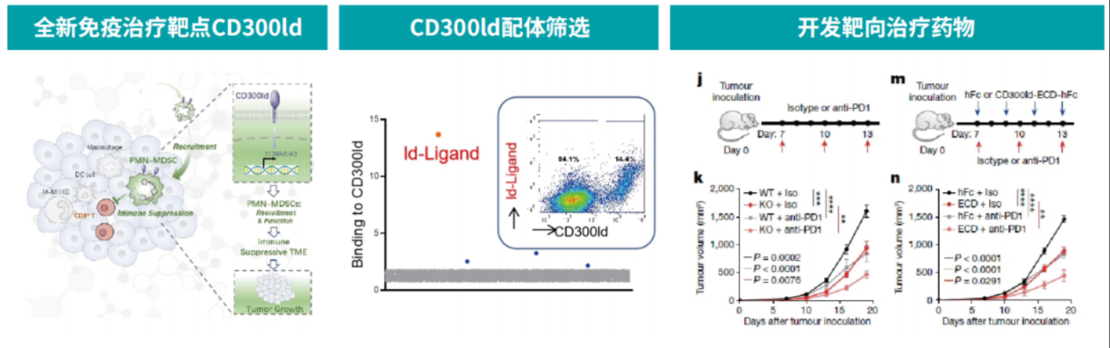 應(yīng)用案例一