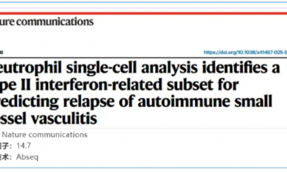 文獻(xiàn)解讀 | 中性粒細(xì)胞單細(xì)胞分析確定了 II 型干擾素相關(guān)子集，用于預(yù)測(cè)自身免疫性小血管血管炎的復(fù)發(fā)