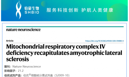 細(xì)胞核分離試劑盒應(yīng)用文章 | 線(xiàn)粒體呼吸鏈復(fù)合體 IV 缺陷重現(xiàn)肌萎縮側(cè)索硬化癥表型