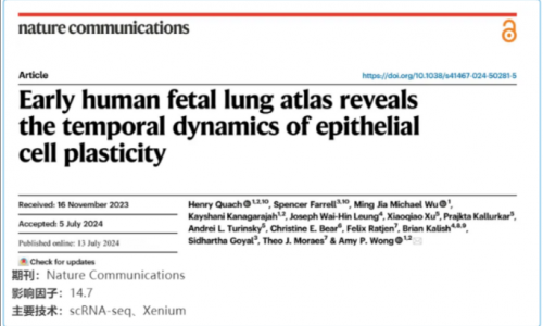 單細(xì)胞空間原位檢測(cè)技術(shù) | 早期人類胎兒肺圖譜揭示上皮細(xì)胞可塑性的時(shí)間動(dòng)力學(xué)
