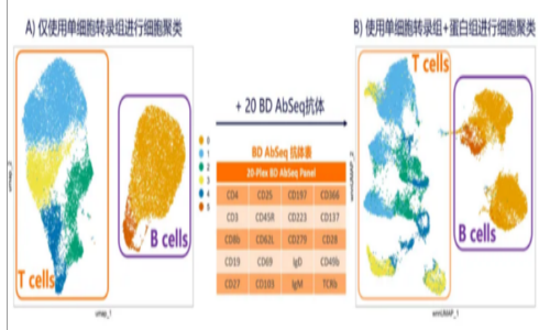 不僅可以攻克細(xì)胞亞群注釋難題！單細(xì)胞轉(zhuǎn)錄組聯(lián)合膜蛋白測(cè)序還可以……（內(nèi)含福利）