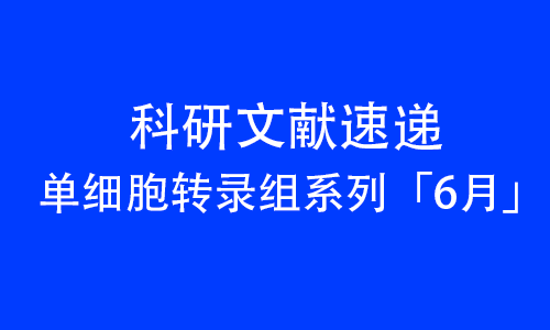 2025 頂刊文獻(xiàn)速遞 _ 單細(xì)胞轉(zhuǎn)錄組系列（6 月）