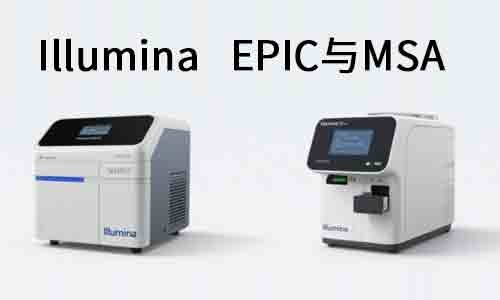 甲基化芯片平臺怎么選？Illumina EPIC 與 MSA 的全面對比與應(yīng)用指南