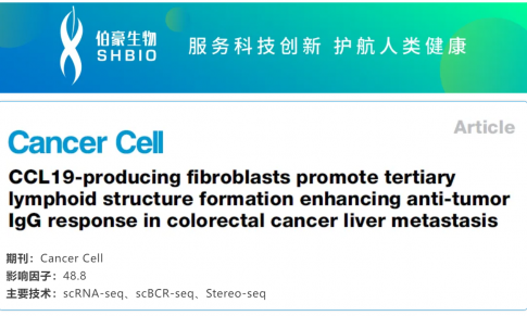 文獻解讀 | 產(chǎn)生 CCL19 的成纖維細胞促進三級淋巴結(jié)構(gòu)形成并增強結(jié)直腸癌肝轉(zhuǎn)移中的抗腫瘤 IgG 反應