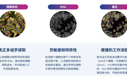 5D 原位多組學(xué) AVITI24 靶向 panel——MAPK 細(xì)胞周期 / 細(xì)胞凋亡信號(hào)通路 panel