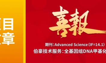 項目文章 | 全基因組 DNA 甲基化測序揭示食品級納米顆粒通過引發(fā)神經(jīng)元自噬缺陷導(dǎo)致阿爾茨海默病樣癥狀