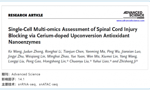 文獻(xiàn)解讀 | 通過鈰摻雜上轉(zhuǎn)換抗氧化納米酶阻斷脊髓損傷的單細(xì)胞多組學(xué)評(píng)估