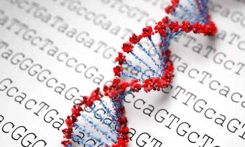 浙江大學生物信息數(shù)據(jù)分析專題研習班招生簡章