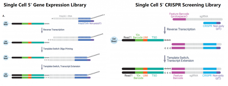 企業(yè)微信截圖_17667424222716