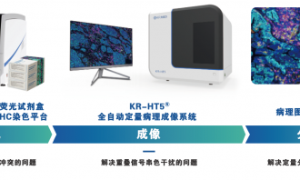 多重熒光免疫組化（mIHC) 賦能時空組學(xué)科學(xué)研究核心應(yīng)用場景