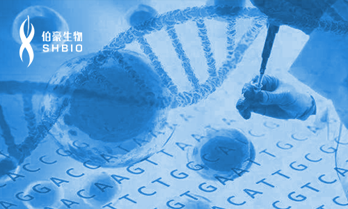 單細(xì)胞測序技術(shù)與應(yīng)用專題研討會