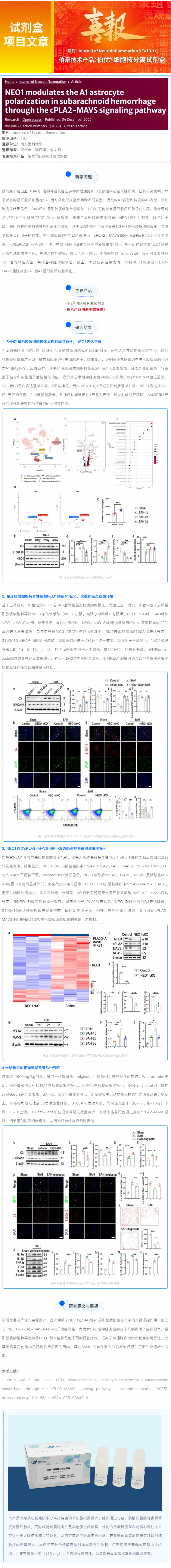 試劑盒項(xiàng)目文章 _ NEO1 通過 cPLA2-MAVS 信號通路調(diào)控蛛網(wǎng)膜下腔出血中 A1 型星形膠質(zhì)細(xì)胞極