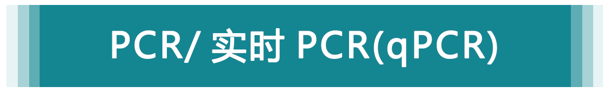 PCR/ 實(shí)時 PCR（qPCR）