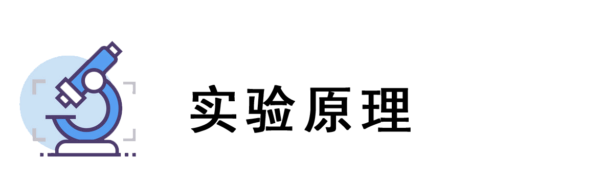 實(shí)驗(yàn)原理